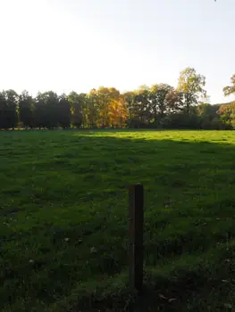 Vagevuurbos en Lippensgoed-Bulskampveld (België)